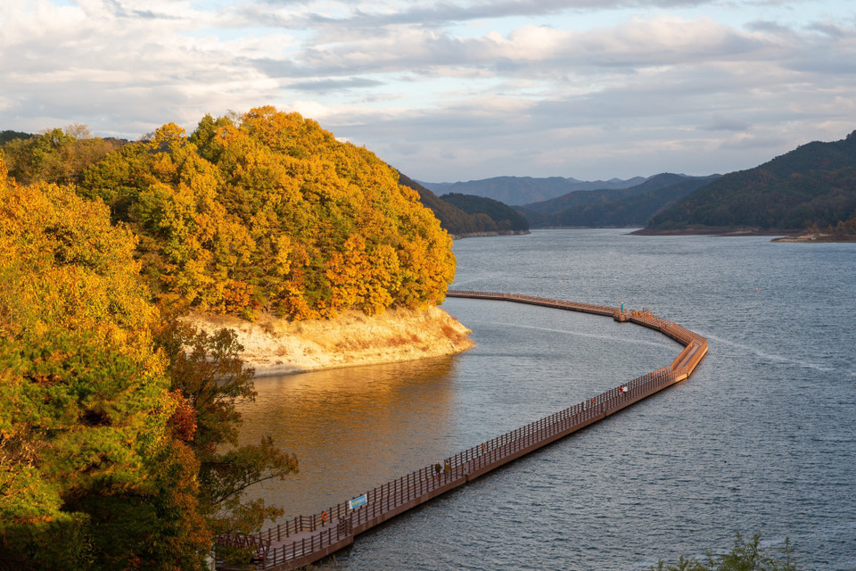 Mùa Thu đang nhẹ nhàng vẽ bức tranh quyến rũ, thơ mộng với gam màu đỏ vàng chủ đạo cho cảnh sắc thiên nhiên nhiều quốc gia trên thế giới. Trong ảnh: Cảnh Thu tại Andong, tỉnh Bắc Gyeongsang, Hàn Quốc, ngày 28/10/2022. (Ảnh: THX/TTXVN)