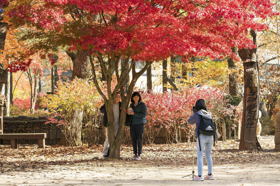Du khách thích thú chụp ảnh, check-in khung cảnh mùa Thu thơ mộng trên đảo Nami. (Ảnh: Anh Nguyên/TTXVN)