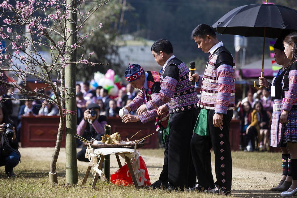 Ngày 20/1/2024, tại xã Hang Kia-Pà Cò, huyện Mai Châu diễn ra Lễ hội Gầu Tào truyền thống của người Mông ở Hòa Bình. Trong ảnh thầy cúng làm lễ bên cây nêu trước khi khai hội. (Ảnh: Trọng Đạt/TTXVN)