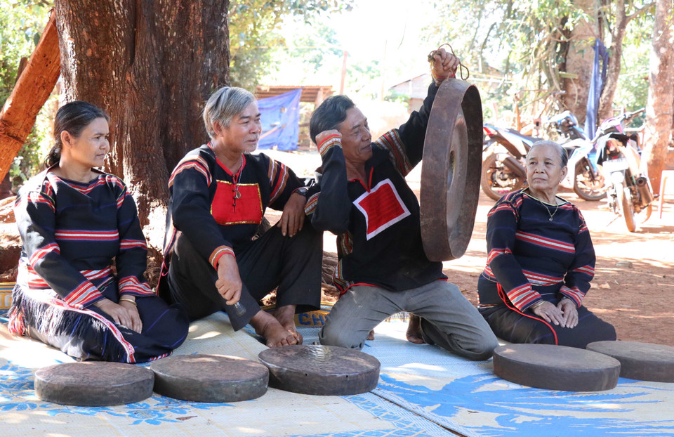 Nghệ nhân Ksor Siơh (thứ hai từ phải sang), dân tộc Jrai, sinh năm 1958, làng Kly, thị trấn Nhơn Hòa, huyện Chư Pưh (Gia Lai) là nghệ nhân chỉnh chiêng có tiếng ở Tây Nguyên. (Ảnh: Hồng Điệp/TTXVN)