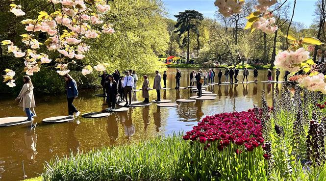 Du khách thích thú khám phá vườn hoa Keukenhof ở Hà Lan. (Ảnh: Mạnh Hùng/TTXVN)