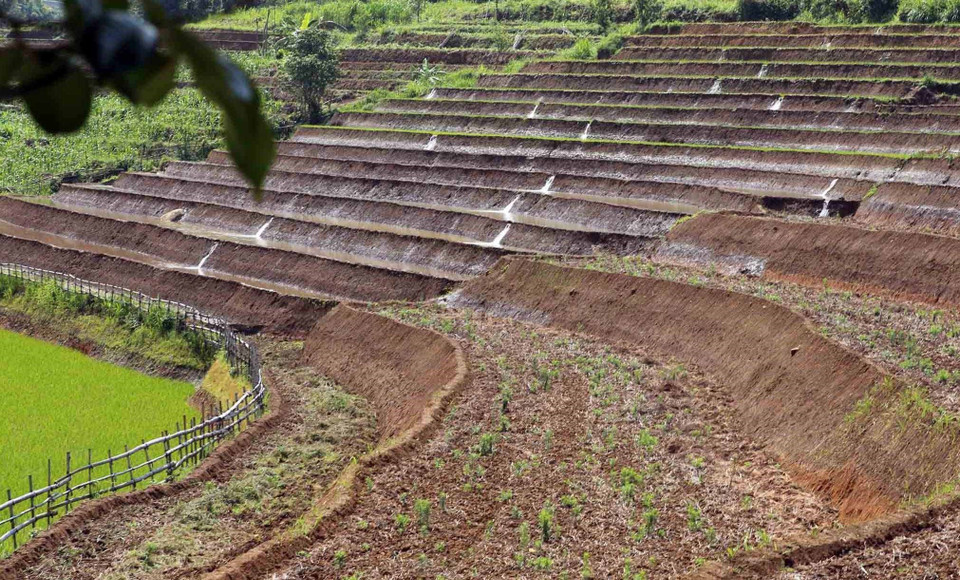Sau những trận mưa, nguồn nước từ trên khe tiếp tục đổ xuống những thửa ruộng phục vụ cho một mùa vàng sắp tới. (Ảnh: Quý Trung/TTXVN)