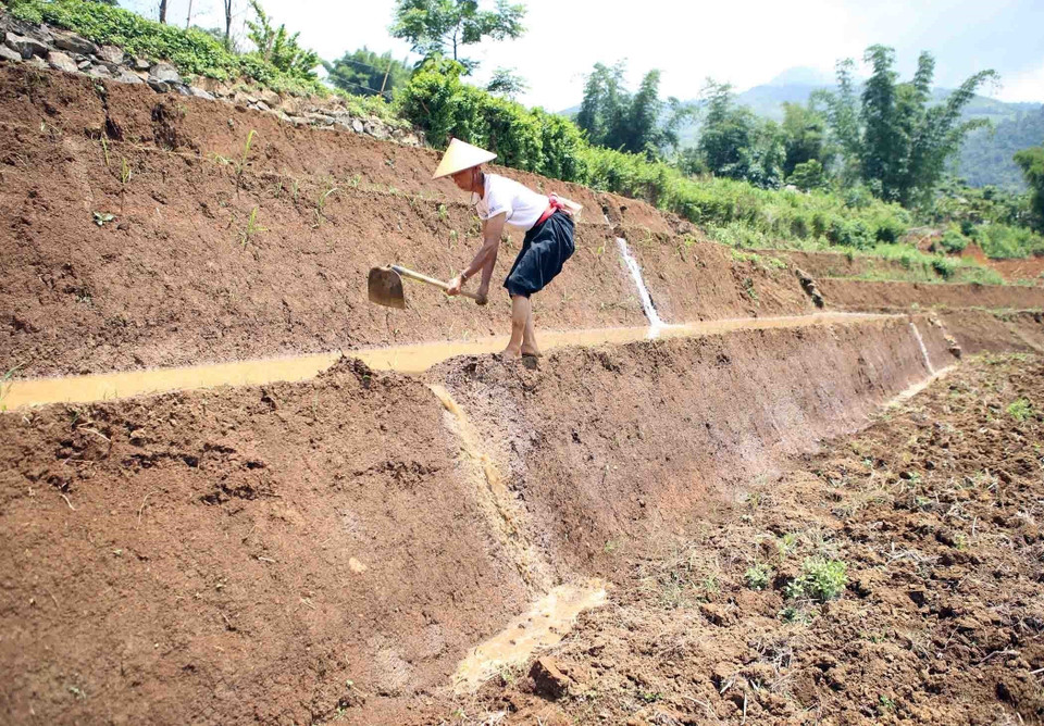 Người dân tận dụng mọi thời gian lấy nước vào ruộng chuẩn bị cho mùa vụ mới. (Ảnh: Quý Trung/TTXVN)