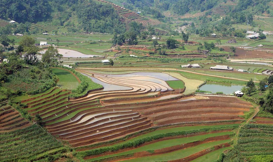 Năm nay do biến đổi khí hậu, nắng nóng kéo dài lượng mưa ít nên nhiều thửa ruộng vẫn chưa đủ nước để sản xuất. (Ảnh: Quý Trung/TTXVN)