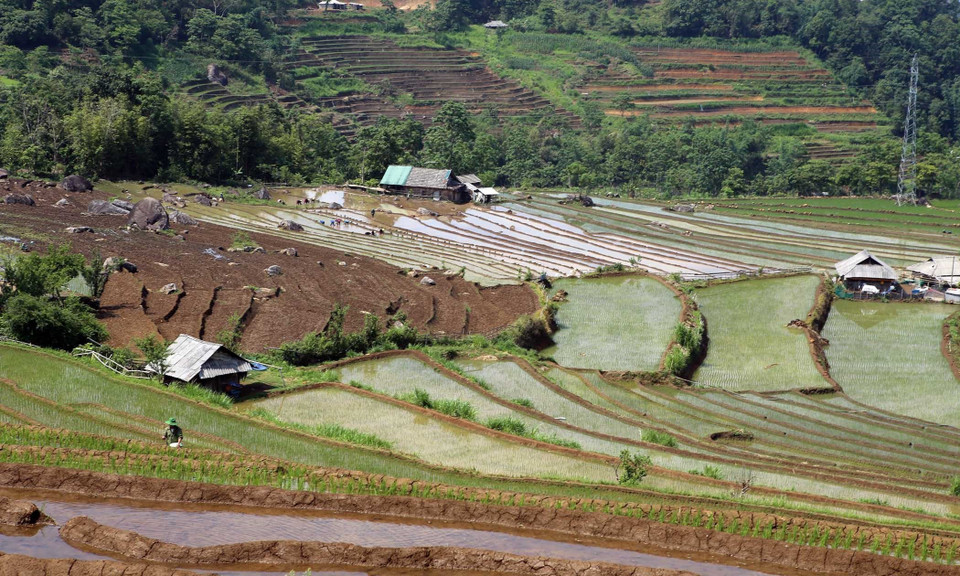 Những thửa ruộng bậc thang uốn lượn chạy dài hút tầm mắt khi nước đổ vào tạo ra bức tranh đa sắc màu. (Ảnh: Quý Trung/TTXVN)