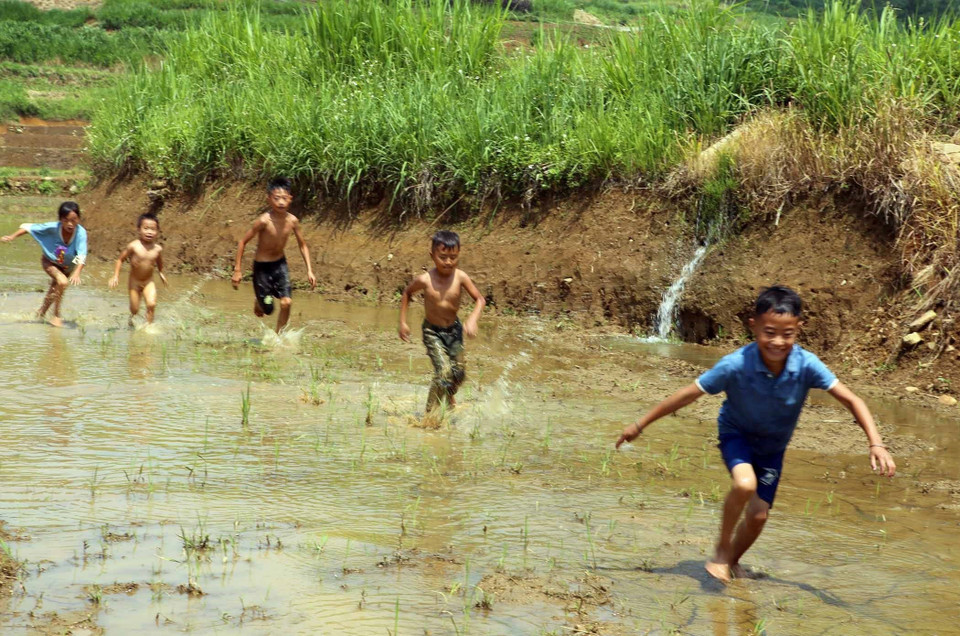 Nước đổ về cũng đem lại niềm vui cho những đứa trẻ được chơi đùa, tắm trên cánh đồng. (Ảnh: Quý Trung/TTXVN)