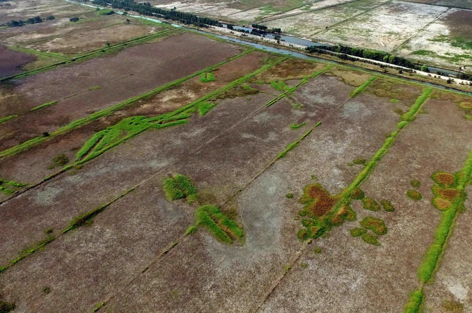 Hàng ngàn ha rừng tràm đã khô, trơ gốc vì thiếu nước tại Khu bảo tồn đất ngập nước Láng Sen - khu Ramsar thứ 7 của Việt Nam - tại Huyện Tân Hưng (Long An). (Ảnh: An Hiếu/TTXVN)