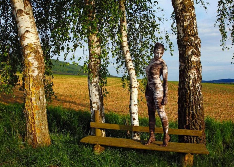 Có sự khác biệt giữa những thân cây này.