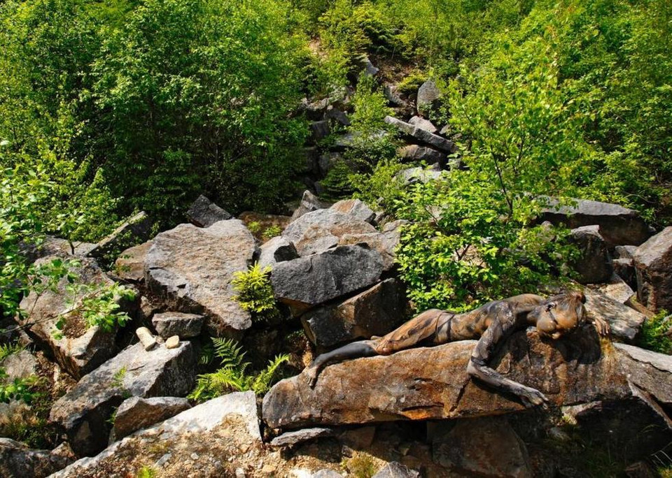 Đây không phải là lần đầu tiên nghệ sỹ người Đức Jorg dùng hội họa để giấu những cô người mẫu vào thiên nhiên. Jorg rất giỏi trong việc giấu người mẫu ở mọi ngóc ngách trên thế giới. Ý tưởng độc đáo đã khiến anh nổi tiếng.