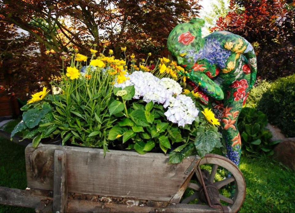 Đám hoa nhiều màu sắc.