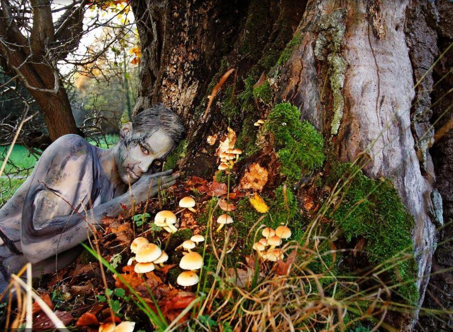 Người mẫu cùng rễ cây và nấm.