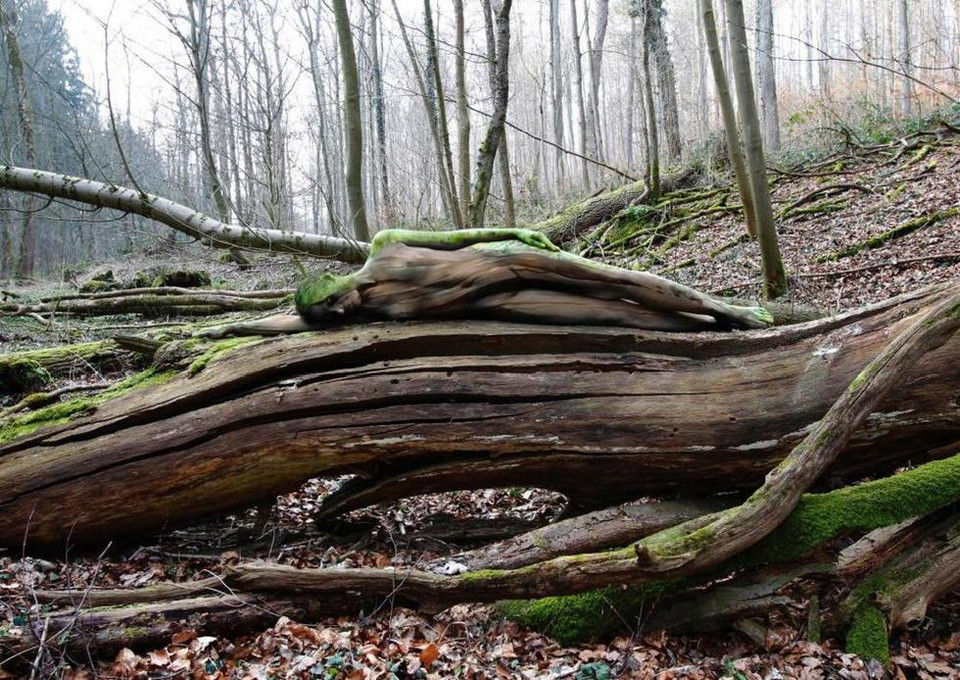 Một cô người mẫu khác đặt mình vào trong những thân cây đã chết cùng những đám rêu.