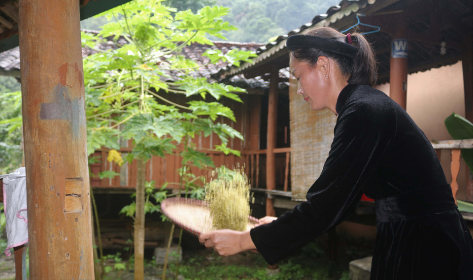 Phụ nữ Tày ở xã Quốc Toản (Quảng Hòa, Cao Bằng) sàng cốm. (Ảnh: Chu Hiệu/TTXVN)