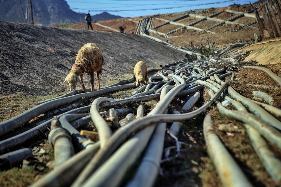 Hệ thống ống dẫn nước từ các hố được đào sâu vào lòng hồ Ông Kinh, huyện Ninh Hải của người dân để lấy nước. (Ảnh: TTXVN)