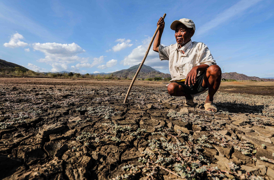 Một nông dân nơi vùng hạn Ninh Thuận bất lực trước hạn hán kéo dài. (Ảnh: TTXVN)