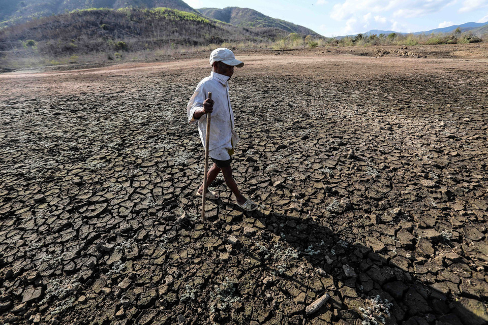 Một nông dân nơi vùng hạn Ninh Thuận bất lực trước hạn hán kéo dài. (Ảnh: TTXVN)