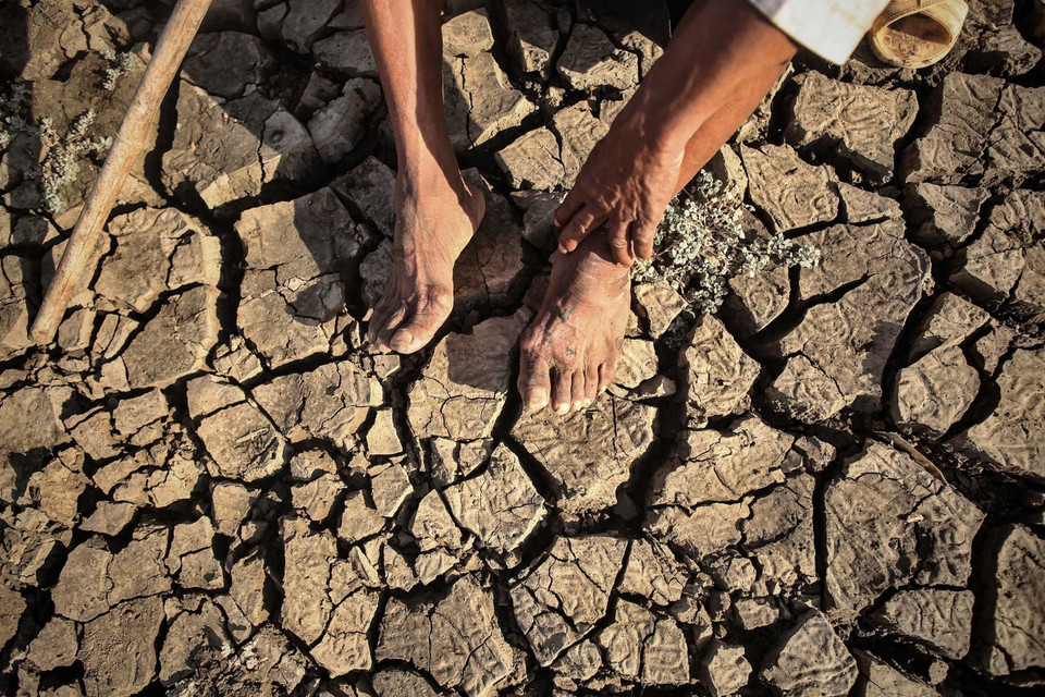 Cánh đồng khô nứt nẻ do ảnh hưởng bởi hạn hán kéo dài tại Ninh Thuận. (Ảnh: Danh Lam/TTXVN)