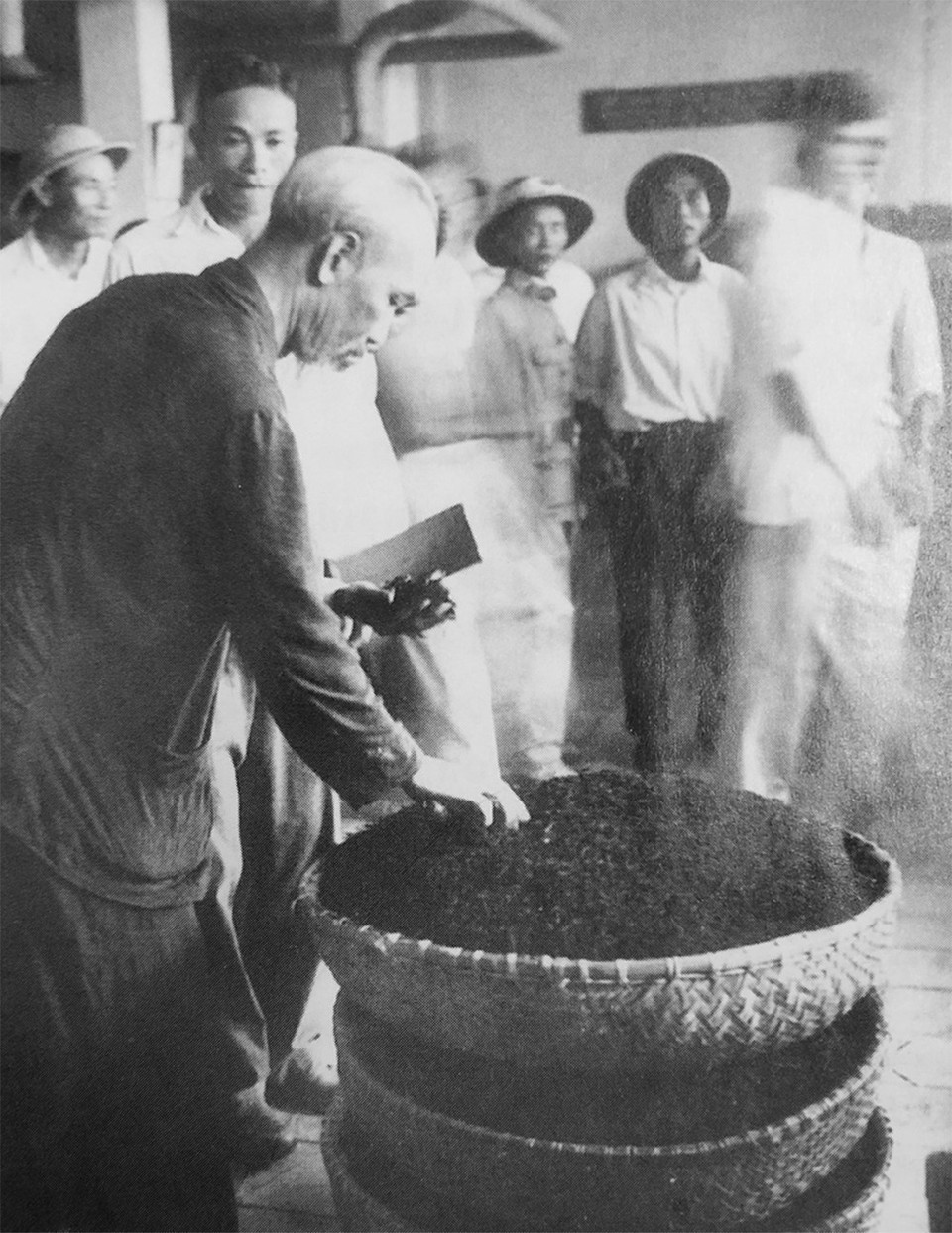 Ngày 20/7/1958 Bác Hồ thăm Nhà máy chè Phú Thọ. (Ảnh: Tư liệu TTXVN)