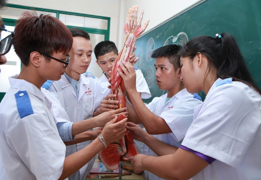 Sinh viên năm thứ nhất, Trường Đại học Y Dược Hải Phòng, thực hành cách lắp ghép trên mô hình. (Ảnh: Quý Trung/TTXVN)