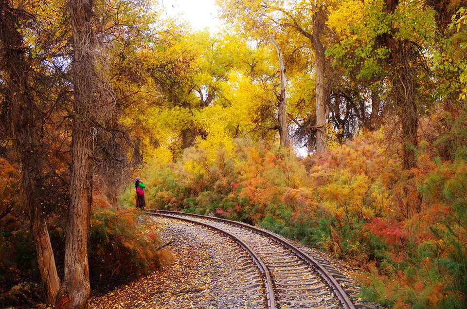 Cảnh đẹp đến khó tin, như trong truyện cổ tích. (Nguồn: QQ)