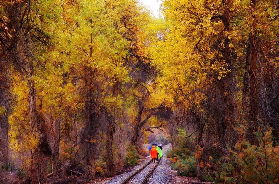 Đây là hình ảnh con đường sắt dài 13km chạy dài bên bờ sông Tarim, Tân Cương, Trung Quốc. Phong cảnh hai bên đường đẹp như trong truyện cổ tích. (Nguồn: QQ)