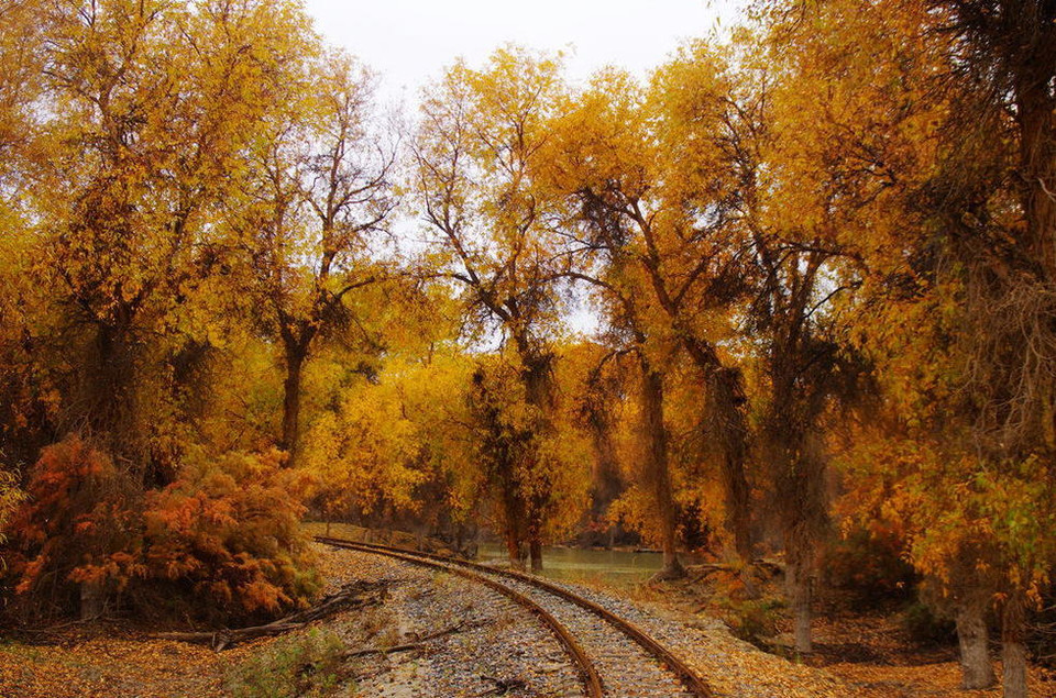 Có người còn ca ngợi đây là con đường sắt đẹp nhất thế giới. (Nguồn: QQ)