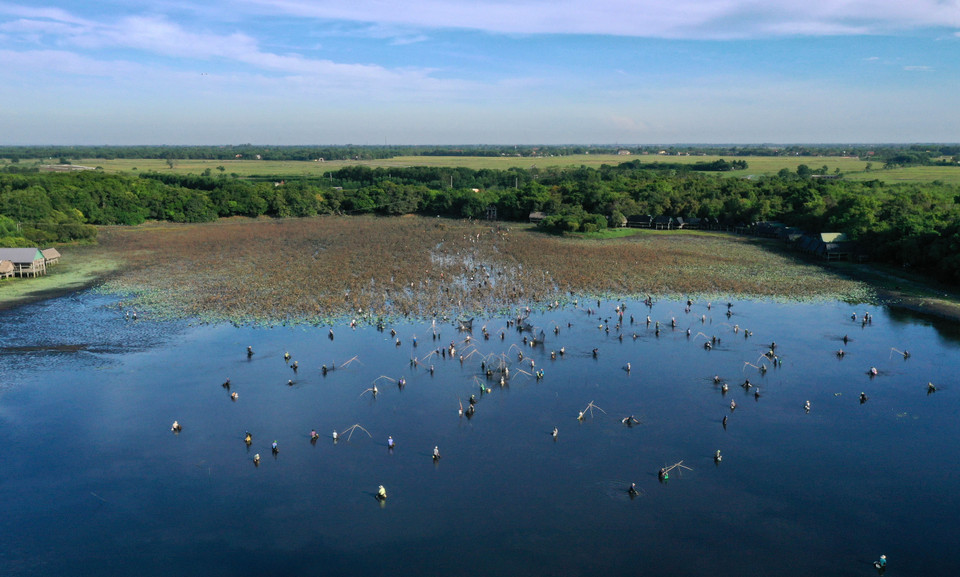 Hội 'Phá trằm' có từ hàng trăm năm trước, dịp này, người dân khắp nơi trong vùng kéo về trằm để bắt cá với những dụng cụ thô sơ như: lưới, chơm, rớ, vợt... (Ảnh: Hồ Cầu/TTXVN)