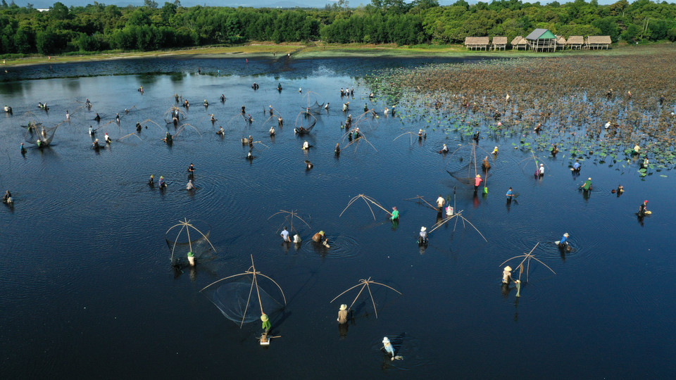 Người dân đánh bắt cá trong trằm Trà Lộc trong ngày hội. (Ảnh: Hồ Cầu/TTXVN)