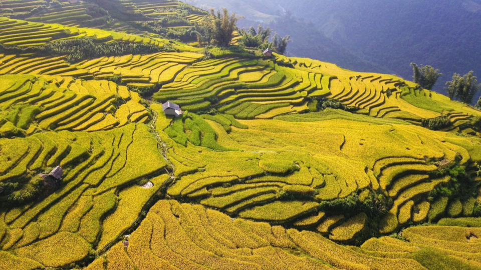 Thung lũng ruộng bậc thang ở A Lù, cũng là nơi không thể bỏ qua khi đi ngắm lúa trên Y Tý. (Ảnh: Thành Đạt/TTXVN)