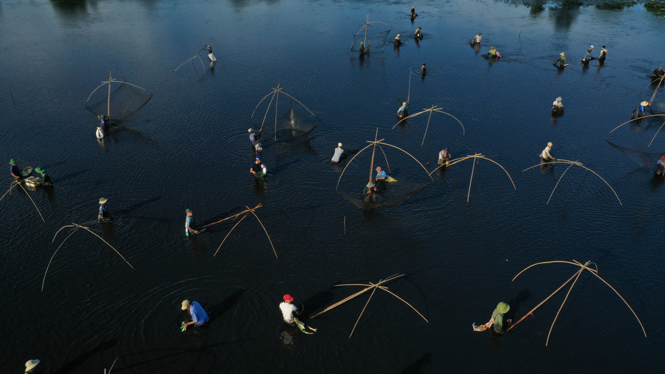 Người dân đánh bắt cá trong trằm Trà Lộc trong ngày hội. (Ảnh: Hồ Cầu/TTXVN)