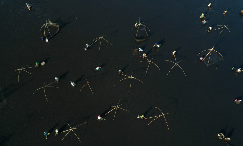 Người dân đánh bắt cá trong trằm Trà Lộc trong ngày hội. (Ảnh: Hồ Cầu/TTXVN)