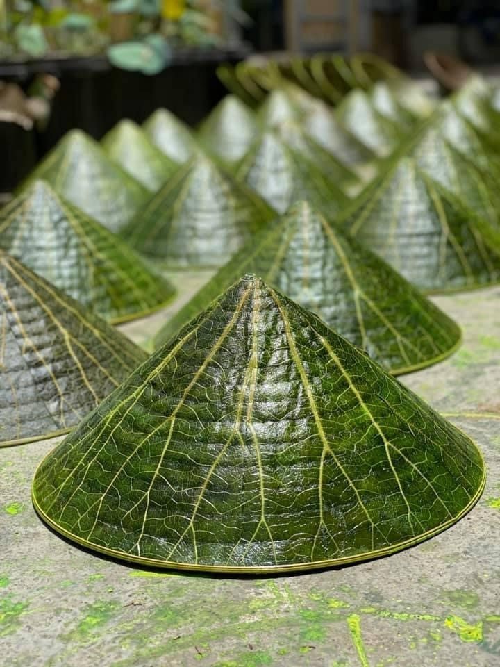 Nón lá sen là sản phẩm nổi bật của hoạ sỹ Nguyễn Thanh Thảo. (Ảnh: Mai Trang/TTXVN)