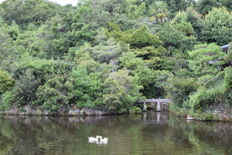 (Ảnh: Nguyễn Tuyến/Vietnam+)