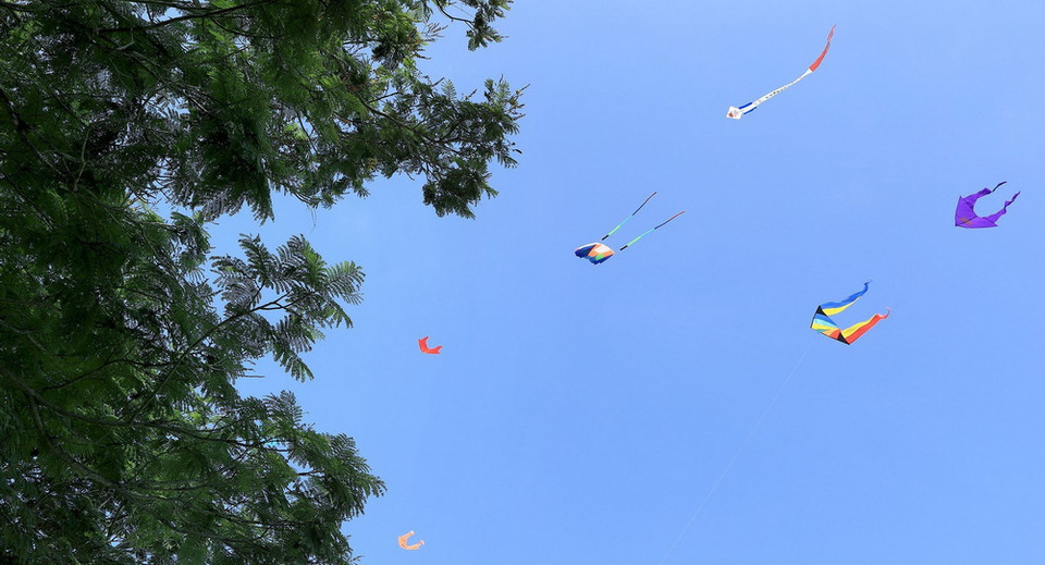 Những cánh diều no gió trên bầu trời cố đô Huế. (Ảnh: Hoàng Hùng/TTXVN)