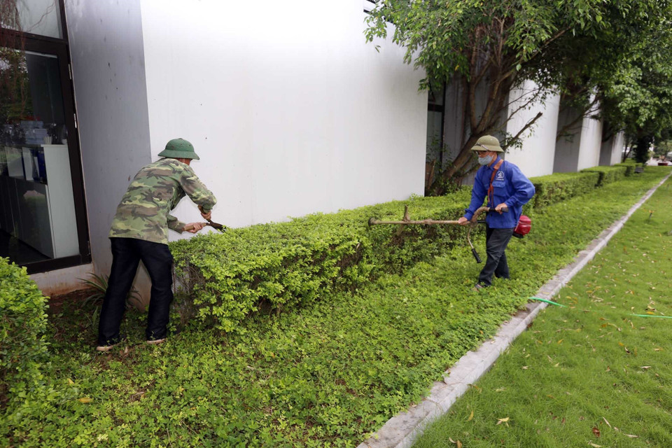 Cây cối xung quanh khu cách ly được cắt tỉa gọn đẹp, thẩm mỹ hơn. (Ảnh: Anh Tuấn/TTXVN)