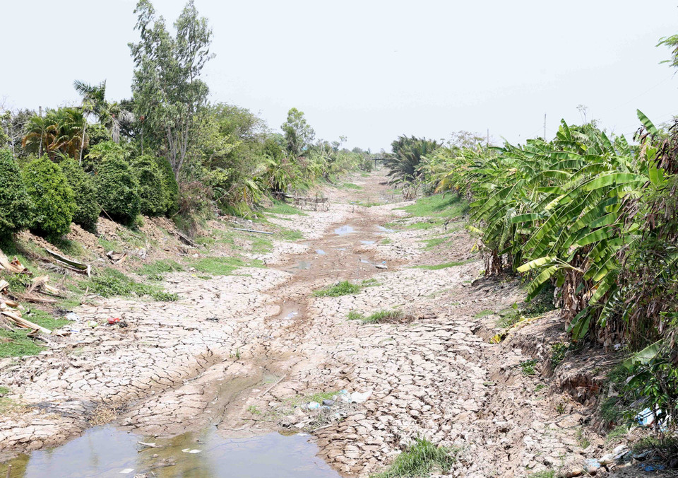 Hệ thống kênh, mương chính N14 dẫn nước phục vụ sản xuất ở xã Long Hòa, thị xã Gò Công, bị khô hạn nứt nẻ từ nhiều ngày nay. (Ảnh: Vũ Sinh/TTXVN)