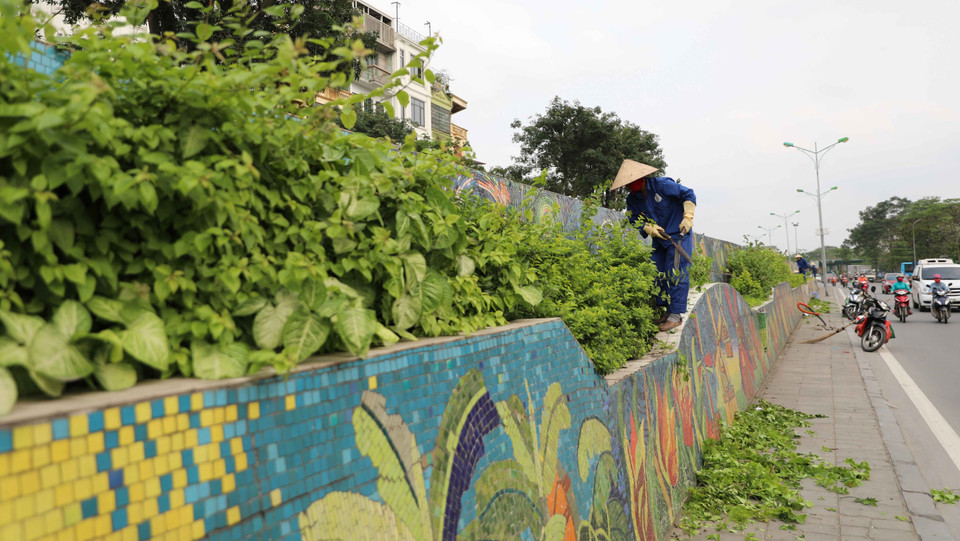 Công nhân Công ty Trách nhiệm hữu hạn Một thành viên Công viên cây xanh Hà Nội cắt tỉa cây trang trí trên Con đường gốm sứ. (Ảnh: Thanh Tùng/TTXVN)