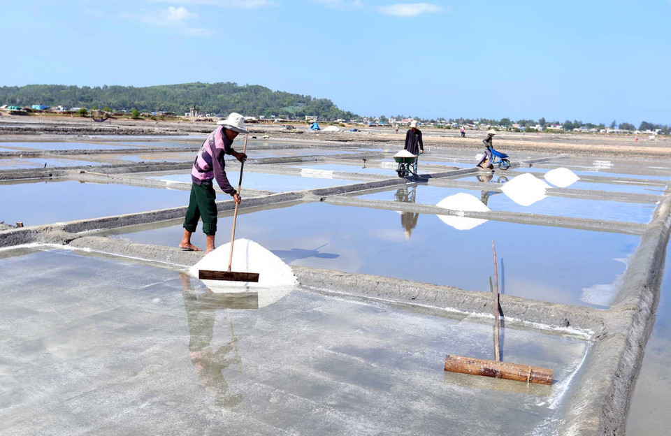 Sa Huỳnh thuộc xã Phổ Thạnh, huyện Đức Phổ là vùng sản xuất muối duy nhất của tỉnh Quảng Ngãi với tổng diện tích hơn 130ha, sản lượng trung bình hằng năm hơn 9.500 tấn. (Ảnh: Vũ Sinh/TTXVN)