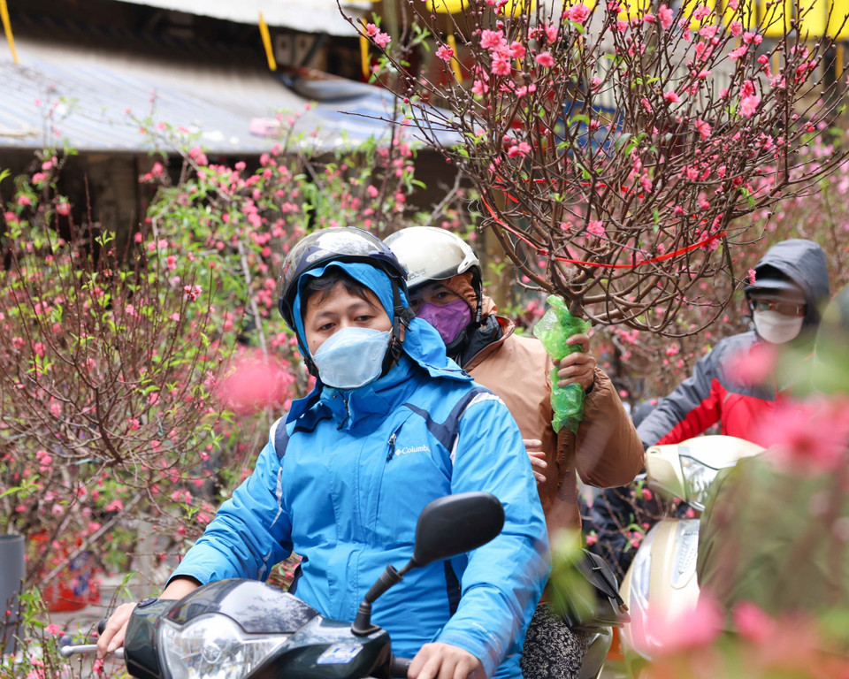 Mua được hoa đào ưng ý từ chợ hoa lâu đời của Thủ đô là đã mang Xuân về nhà. (Ảnh: Thanh Tùng/TTXVN)