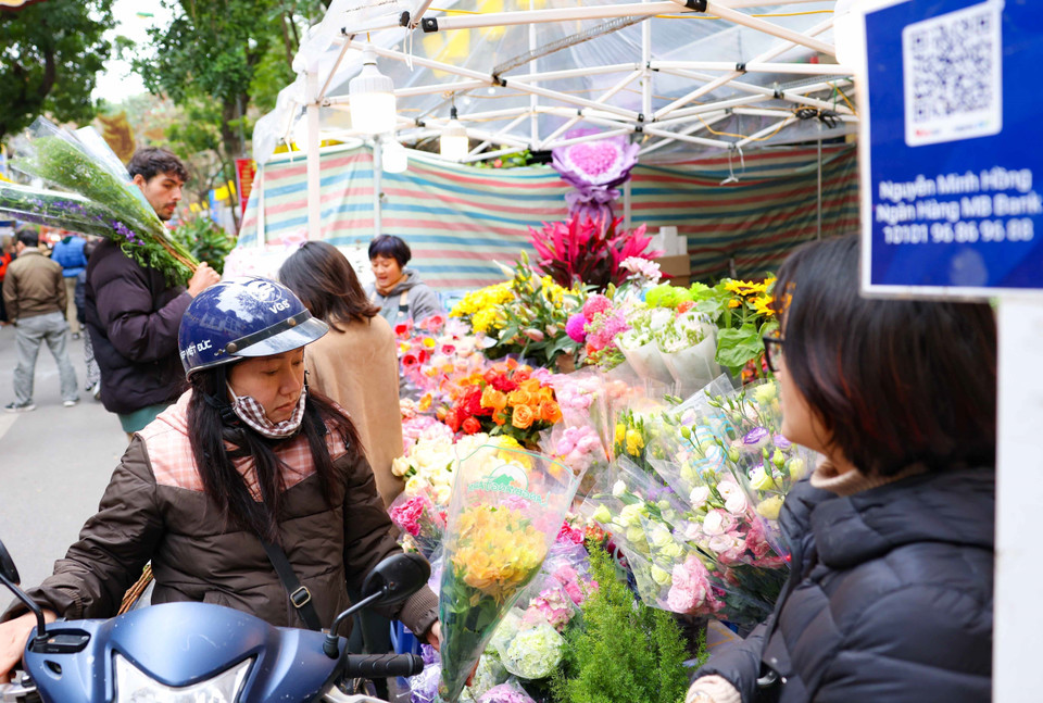 Bên cạnh hoa đào, hoa mai, chợ hoa Hàng Lược có nhiều loại hoa khác để người dân mua về chơi Tết. (Ảnh: Thanh Tùng/TTXVN)