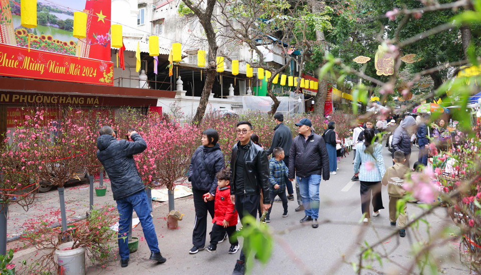 Hoa đào, quất cảnh cùng các chủng loại hoa Tết được bày bán, tạo nên một không gian náo nhiệt mang đậm không khí Xuân. (Ảnh: Thanh Tùng/TTXVN)