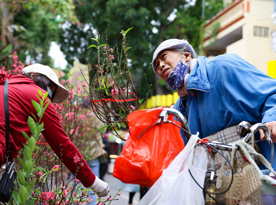 Dù Hà Nội có nhiều chợ hoa nhưng thói quen mua hoa tại Hàng Lược mỗi dịp Tết đến, Xuân về đã ăn sâu vào tiềm thức của người Hà Nội. (Ảnh: Thanh Tùng/TTXVN)