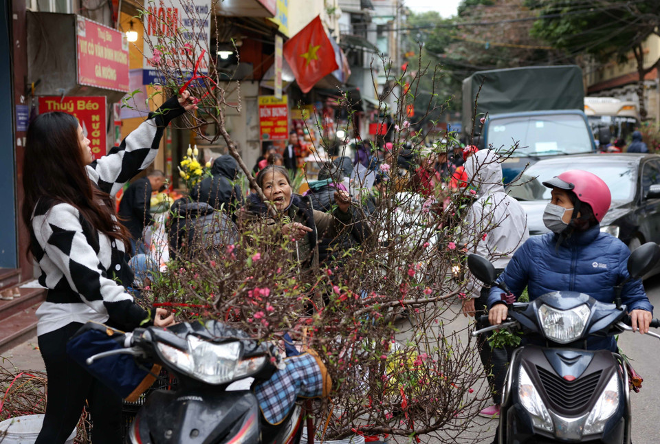 Người dân đi chợ sớm, chọn cành đào mua về trang trí Tết. (Ảnh: Thanh Tùng/TTXVN)