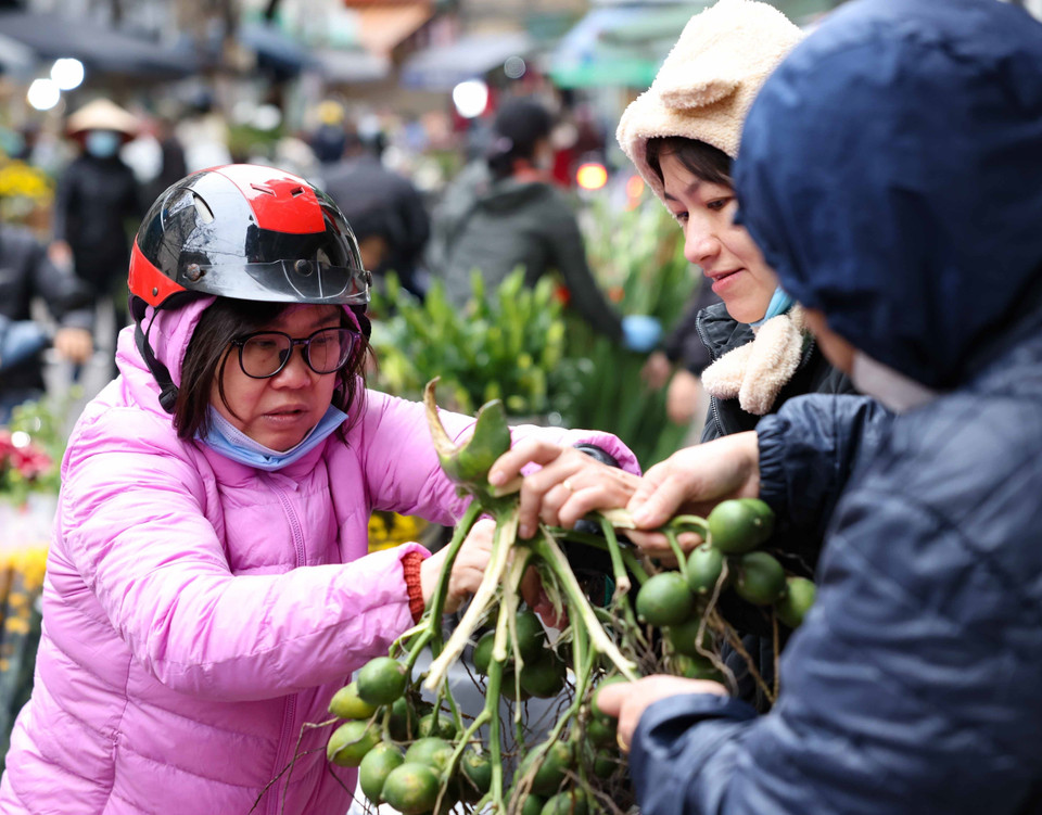 Người dân chọn mua những quả cau đẹp về thắp hương. (Ảnh: Thanh Tùng/TTXVN)