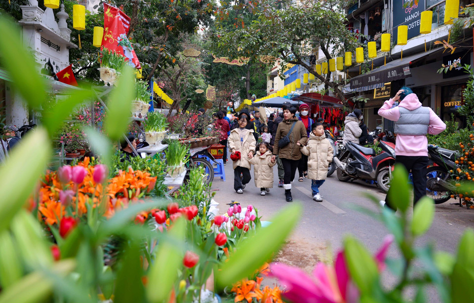 Dù không mua hoa, nhưng việc đưa con cái đi chợ hoa Hàng Lược ngắm cảnh và hòa vào không khí Tết Việt ở đây không chỉ trở thành thói quen mà còn mang đậm nét văn hóa của người Hà Nội. (Ảnh: Thanh Tùng/TTXVN)
