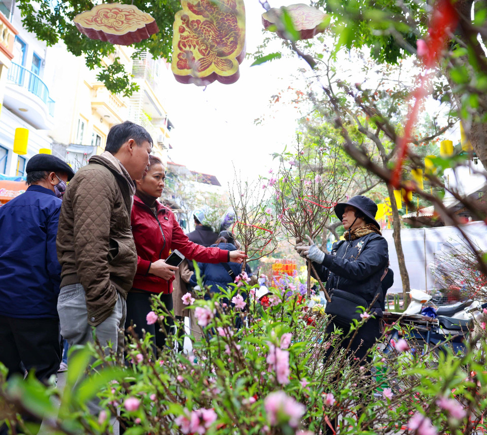 Dù Hà Nội có nhiều chợ hoa nhưng thói quen mua hoa tại Hàng Lược đã ăn sâu vào tiềm thức của người Hà Nội mỗi khi Tết đến, Xuân về. (Ảnh: Thanh Tùng/TTXVN)