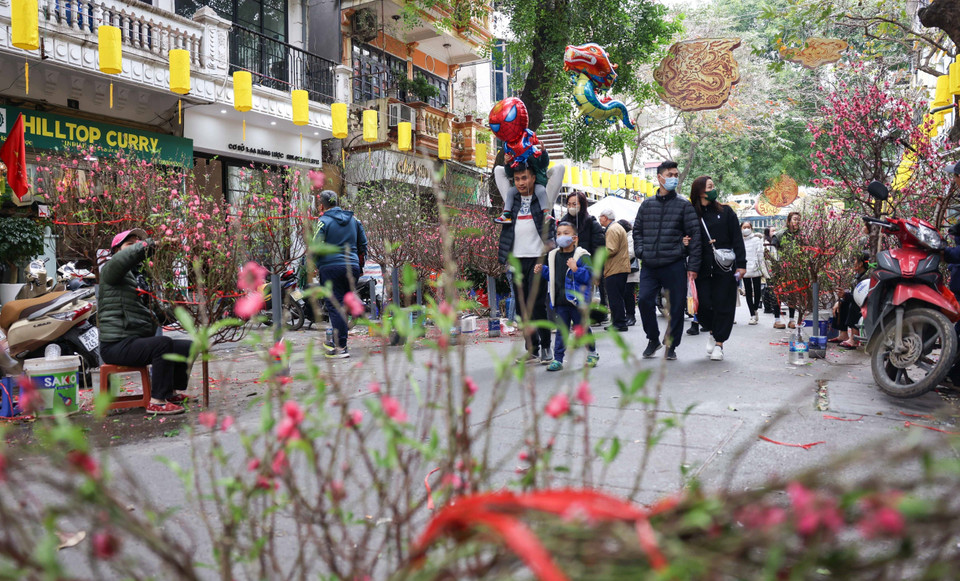 Hãy đến chợ hoa Hàng Lược dịp Tết đến, Xuân về để cảm nhận không khí Tết truyền thống của người Việt. (Ảnh: Thanh Tùng/TTXVN)