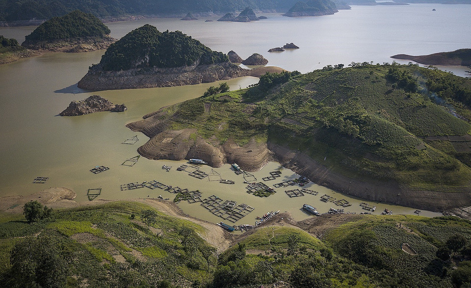 Nước sông Đà cạn và đục ngầu gây ra hiện tượng cá lồng của các hộ dân chết hàng loạt tại các xã ven sông của huyện Đà Bắc. (Ảnh: Trọng Đạt/TTXVN)
