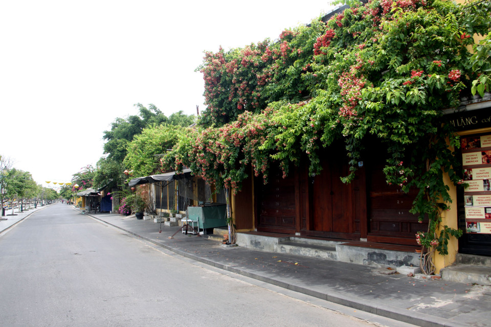 Tuy vậy, nhờ sự ý thức cao của người dân, ngay từ sáng 30/7, hầu như tất cả các hoạt động xã hội tại thành phố Hội An dường như ngừng hẳn, các tuyến phố vắng lặng, các hàng quán dịch vụ đã gần như đóng cửa hoàn toàn không phục vụ người dân và khách du lịch. (Ảnh: Trịnh Bang Nhiệm/TTXVN)