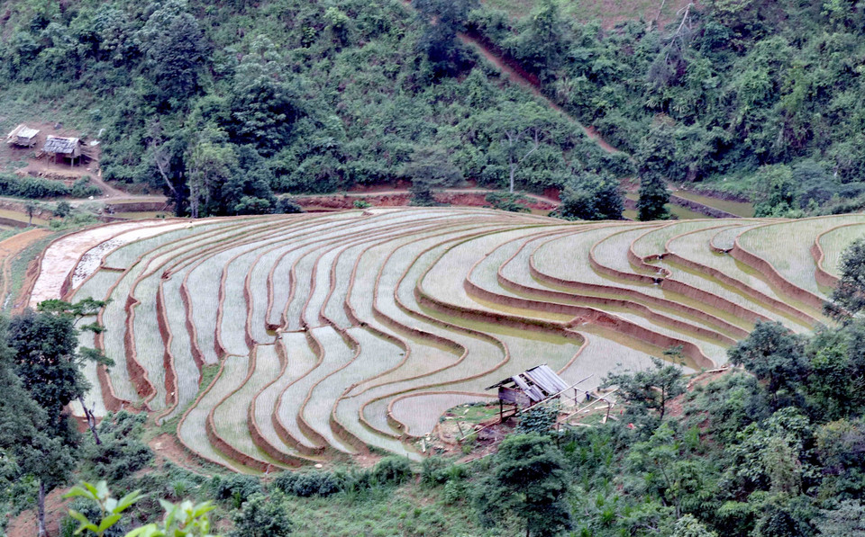 Ruộng bậc thang tại xã Chiềng Muôn, huyện Mường La, tỉnh Sơn La. (Ảnh: Quang Quyết/TTXVN)